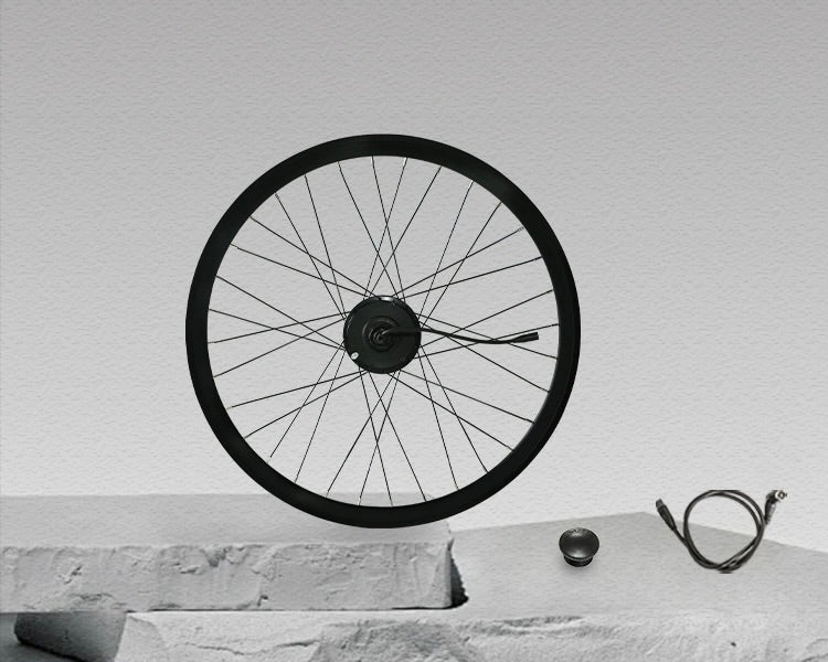 Motor Rim