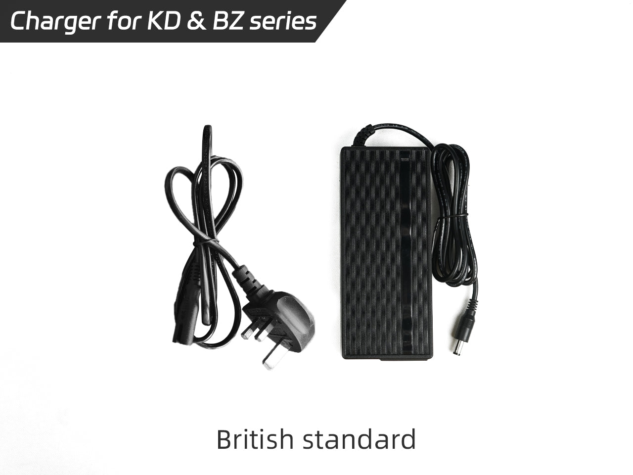 Lvbu E-Bike Conversion Kit Charger