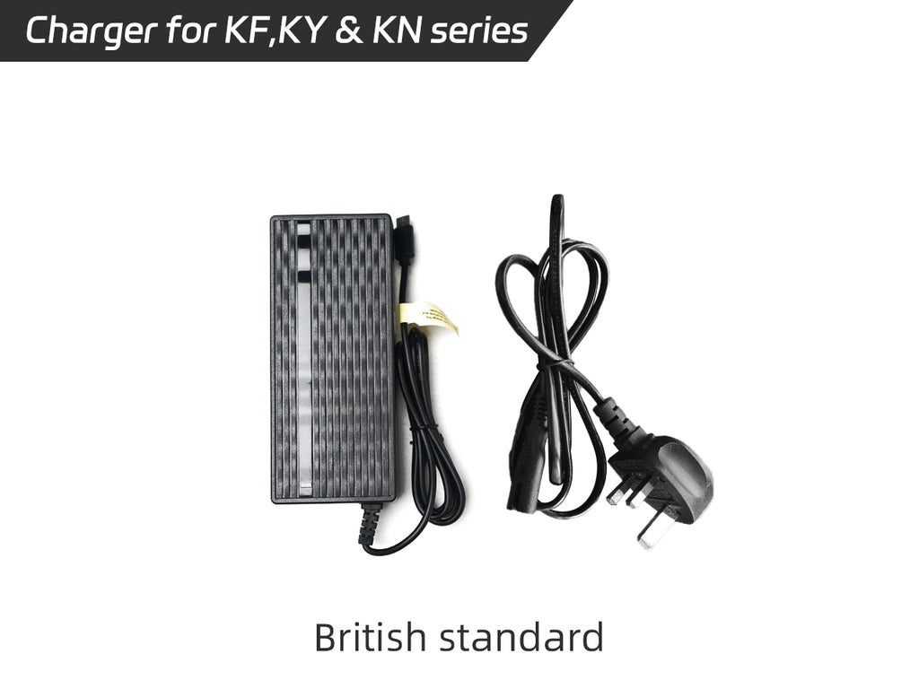 Lvbu E-Bike Conversion Kit Charger