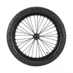 DGWZ 19 Inch Rim Ebike Front Wheel with Tire