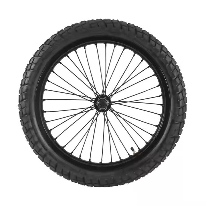 DGWZ 19 Inch Rim Ebike Front Wheel with Tire
