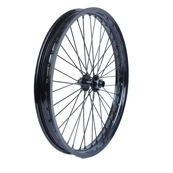 DGWZ 19 Inch Rim Ebike Front Wheel with Tire