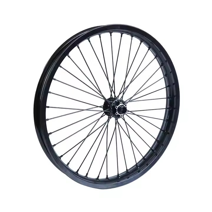 DGWZ 19 Inch Rim Ebike Front Wheel with Tire