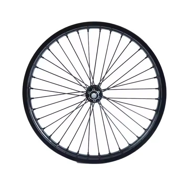 DGWZ 19 Inch Rim Ebike Front Wheel with Tire