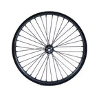 DGWZ 19 Inch Rim Ebike Front Wheel with Tire