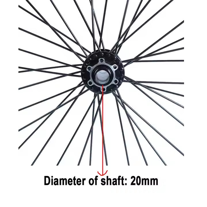 DGWZ 19 Inch Rim Ebike Front Wheel with Tire