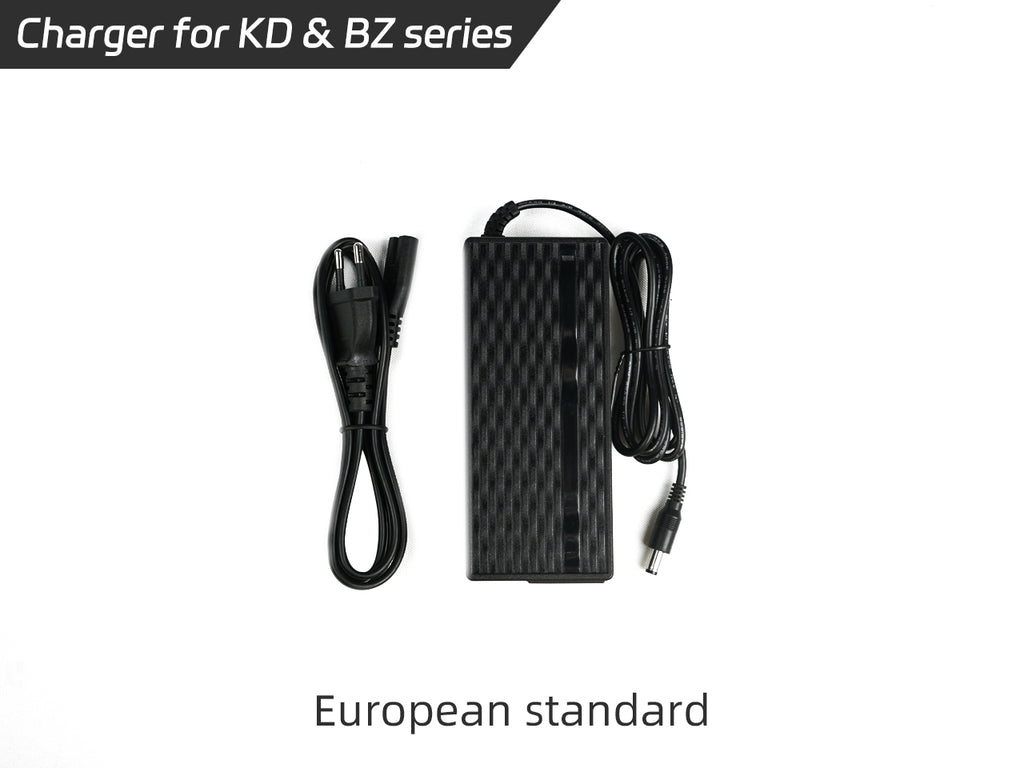 Lvbu E-Bike Conversion Kit Charger