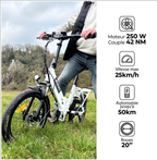 Bykki Jazz-200 Electric folding bicycle